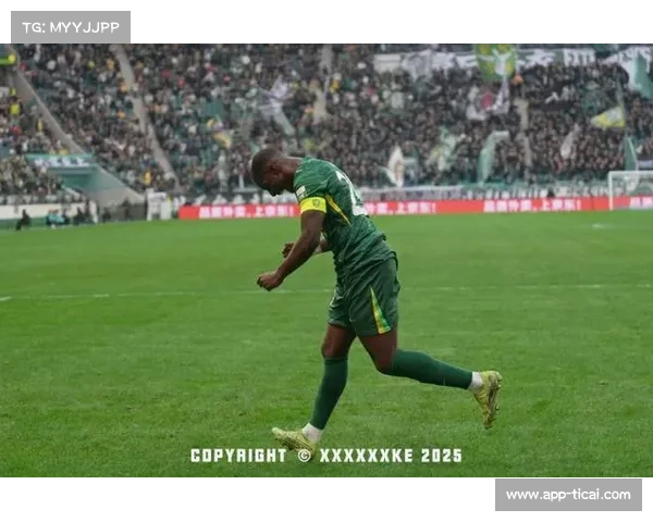 法比奥打破耶利奇保持的国安队史单赛季进球纪录